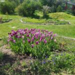 WhatsApp Image 2025-10-21 at 21.31.49