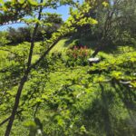 WhatsApp Image 2025-10-26 at 17.38.27