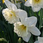 WhatsApp Image 2025-10-26 at 17.38.28 (1)