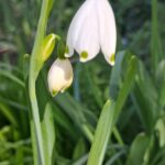 WhatsApp Image 2025-10-26 at 17.38.28 (2)