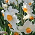 WhatsApp Image 2025-10-26 at 17.38.28