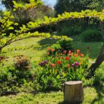 WhatsApp Image 2025-10-26 at 17.38.29