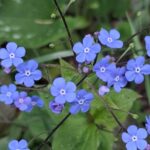 WhatsApp Image 2025-10-26 at 17.41.06 (1)