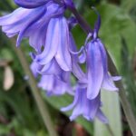 WhatsApp Image 2025-10-26 at 17.41.06