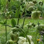 WhatsApp Image 2025-10-26 at 17.41.07