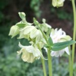 WhatsApp Image 2025-10-26 at 17.41.08 (1)