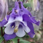 WhatsApp Image 2025-10-26 at 17.41.08