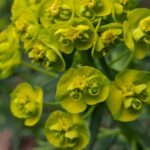 WhatsApp Image 2025-10-26 at 17.41.09 (2)