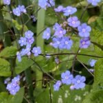 WhatsApp Image 2025-10-26 at 17.41.10