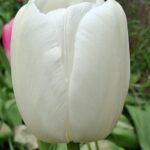 WhatsApp Image 2025-10-26 at 17.43.30