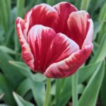 WhatsApp Image 2025-10-26 at 17.43.32 (1)