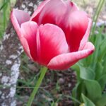 WhatsApp Image 2025-10-26 at 17.43.32