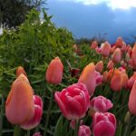 WhatsApp Image 2025-10-26 at 17.43.32 (2)