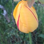 WhatsApp Image 2025-10-26 at 17.43.33 (2)