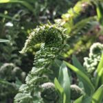 WhatsApp Image 2025-10-26 at 17.43.34 (1)