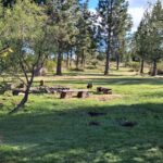 WhatsApp Image 2025-10-26 at 17.43.34