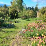 WhatsApp Image 2025-10-26 at 17.43.35 (1)