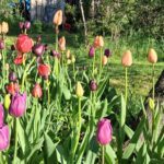 WhatsApp Image 2025-10-26 at 17.43.35