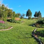 WhatsApp Image 2025-10-26 at 17.43.35 (2)