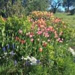 WhatsApp Image 2025-10-26 at 17.43.36